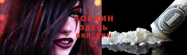 таблы Каменногорск