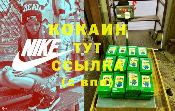 mdpv Каменск-Шахтинский