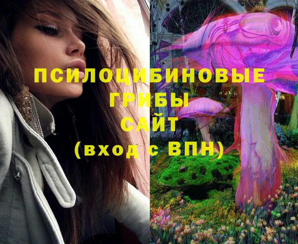 таблы Каменногорск
